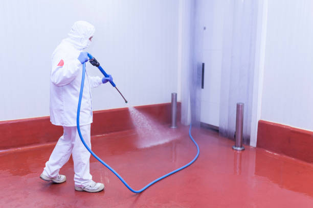 Reliable Calverton Park, MO Pressure Washing Services Solutions